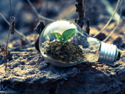 Investment Summary August 2019