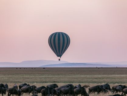 November Local Investment Commentary
