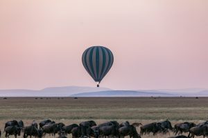 November Local Investment Commentary