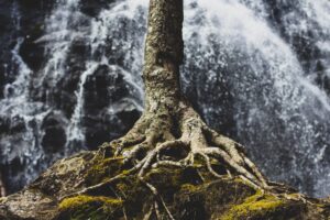 November Global Investment Commentary